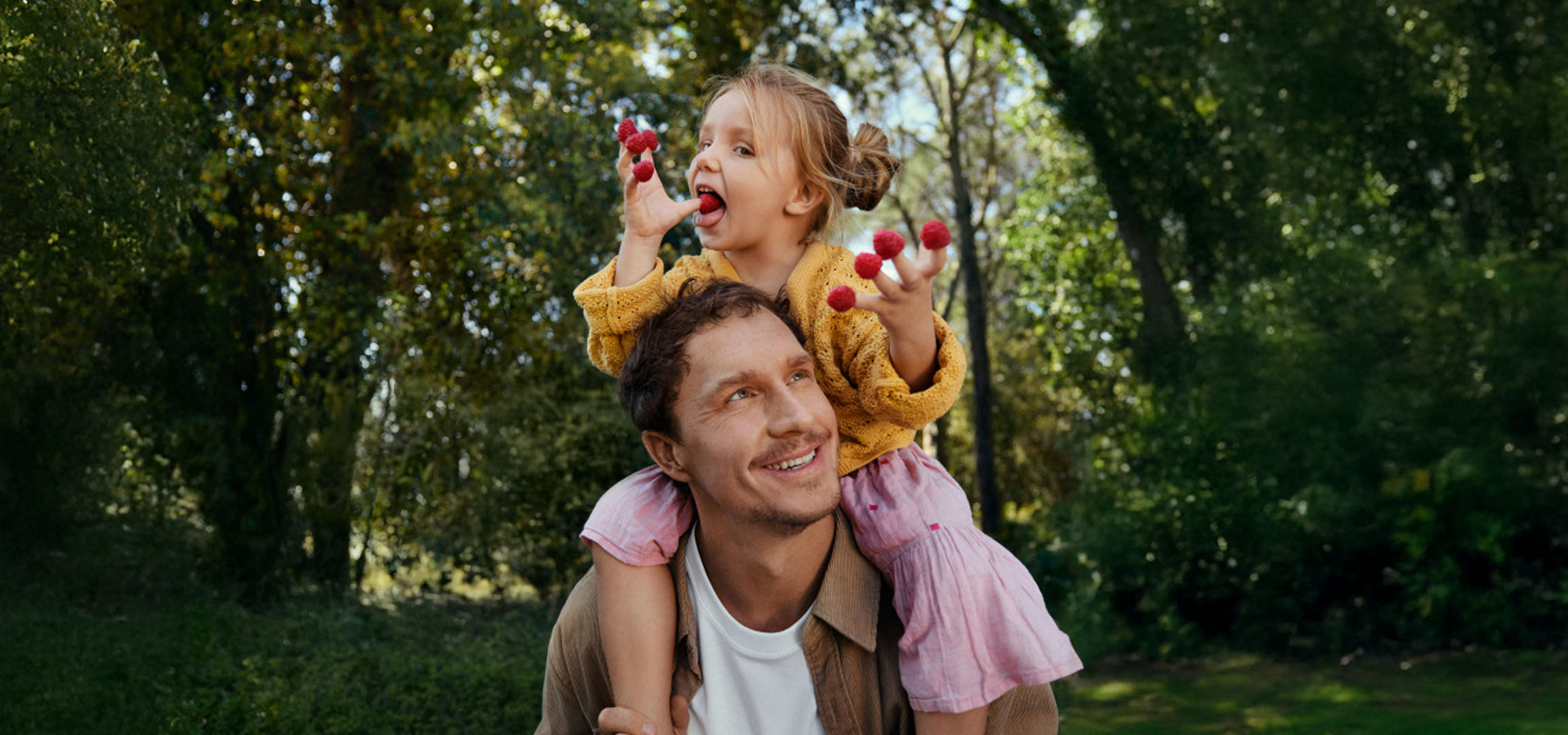 A smiling father carries a little girl on his shoulders, who is eating raspberries in a forest.